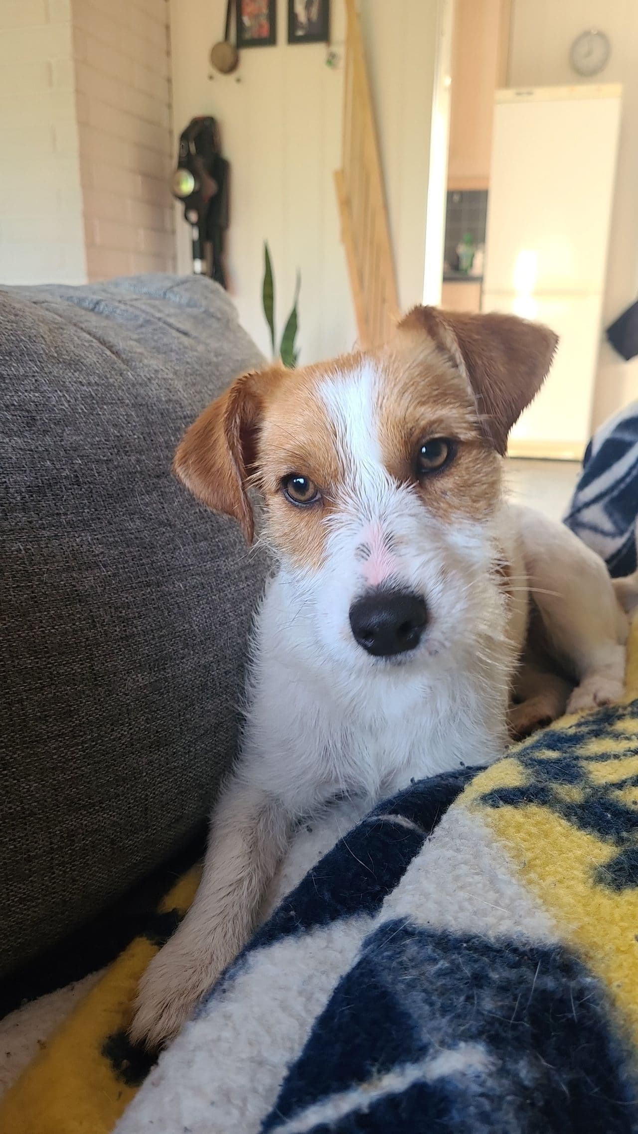 Jrt tispe omplasseres