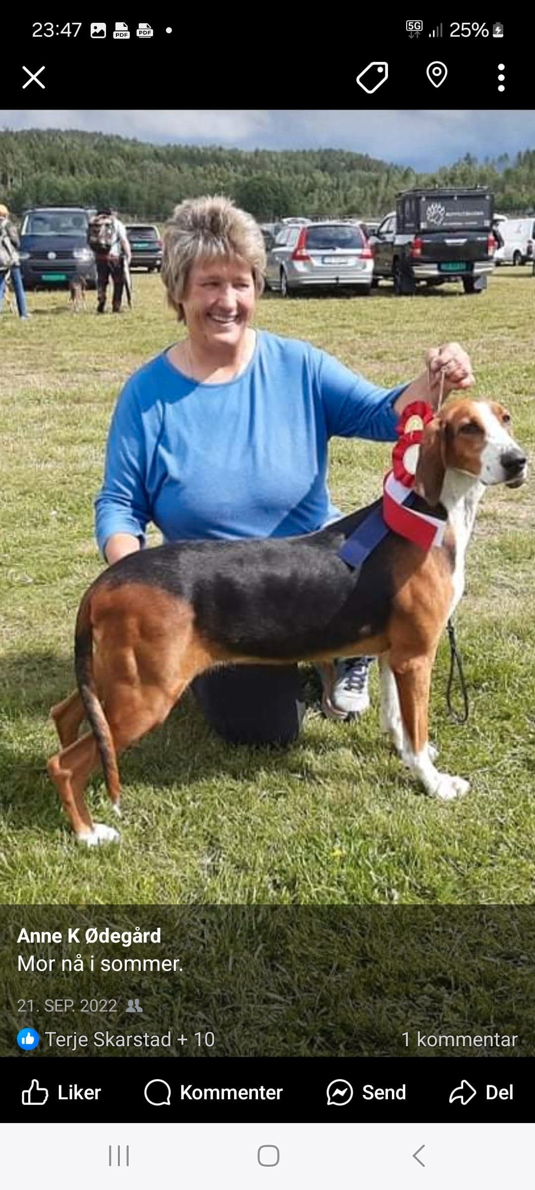 FINSK STØVER VALPER