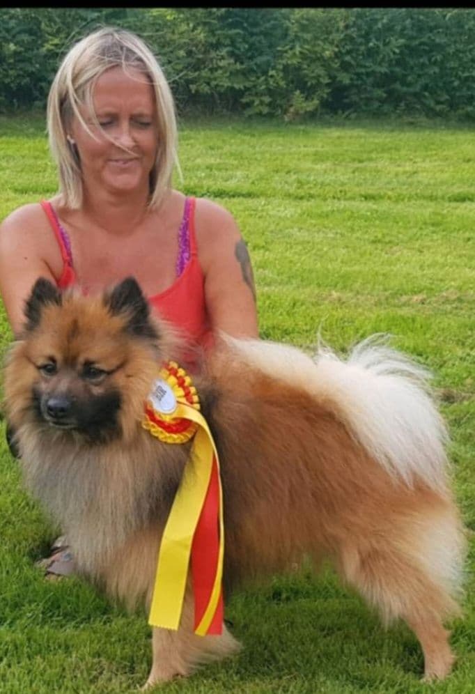 Kennel Vegamo har fått Mittelspitz valper