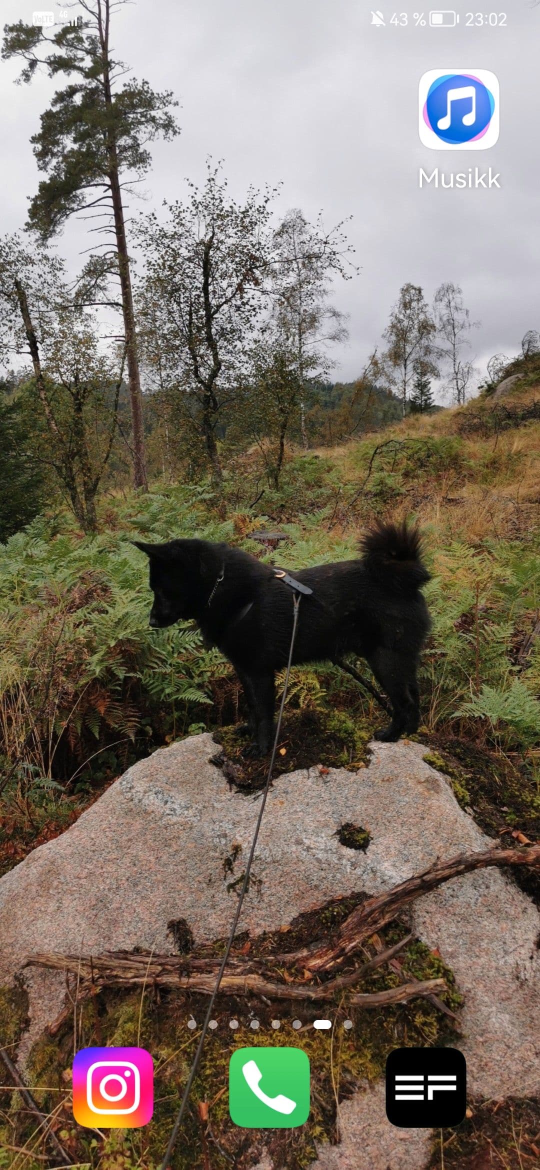 7år gammel NES selges. Kjempefin for både nybegynnere og folk med erfaring.
