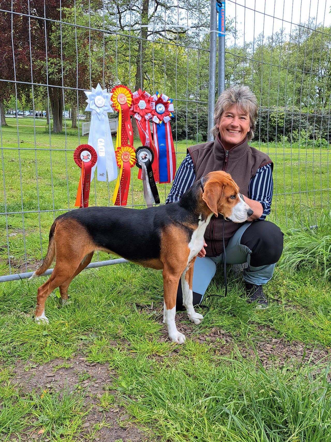 Hamilton støver valper