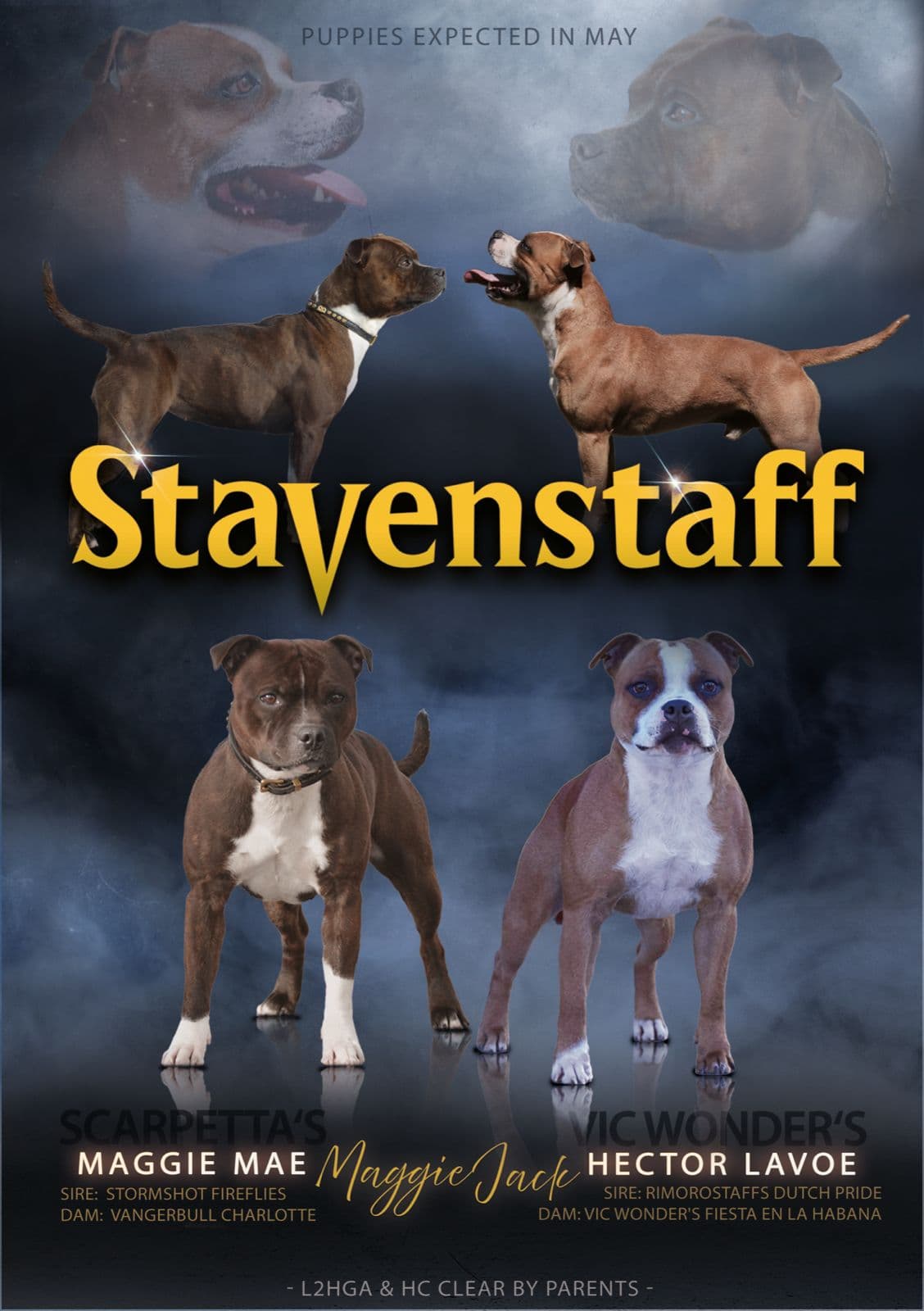 Stavenstaff venter valper - leveringsklare i august