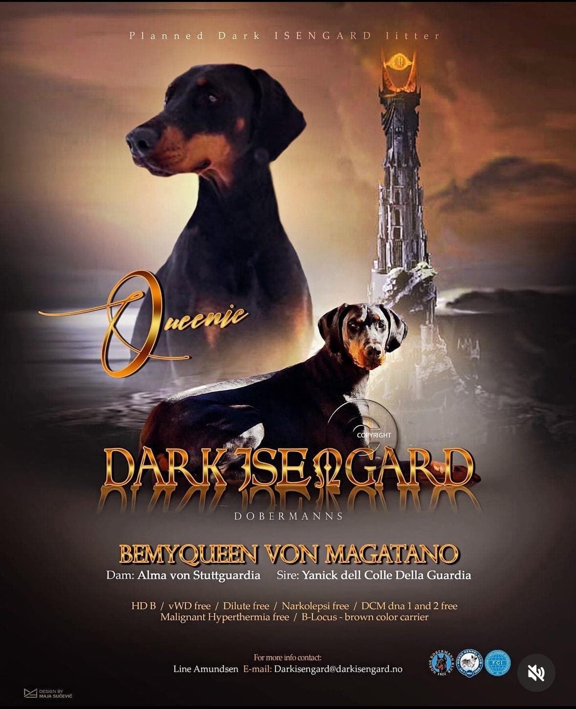 Dobermann valper ventes