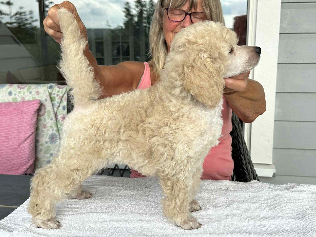 Renraset vakker mellompuddel.