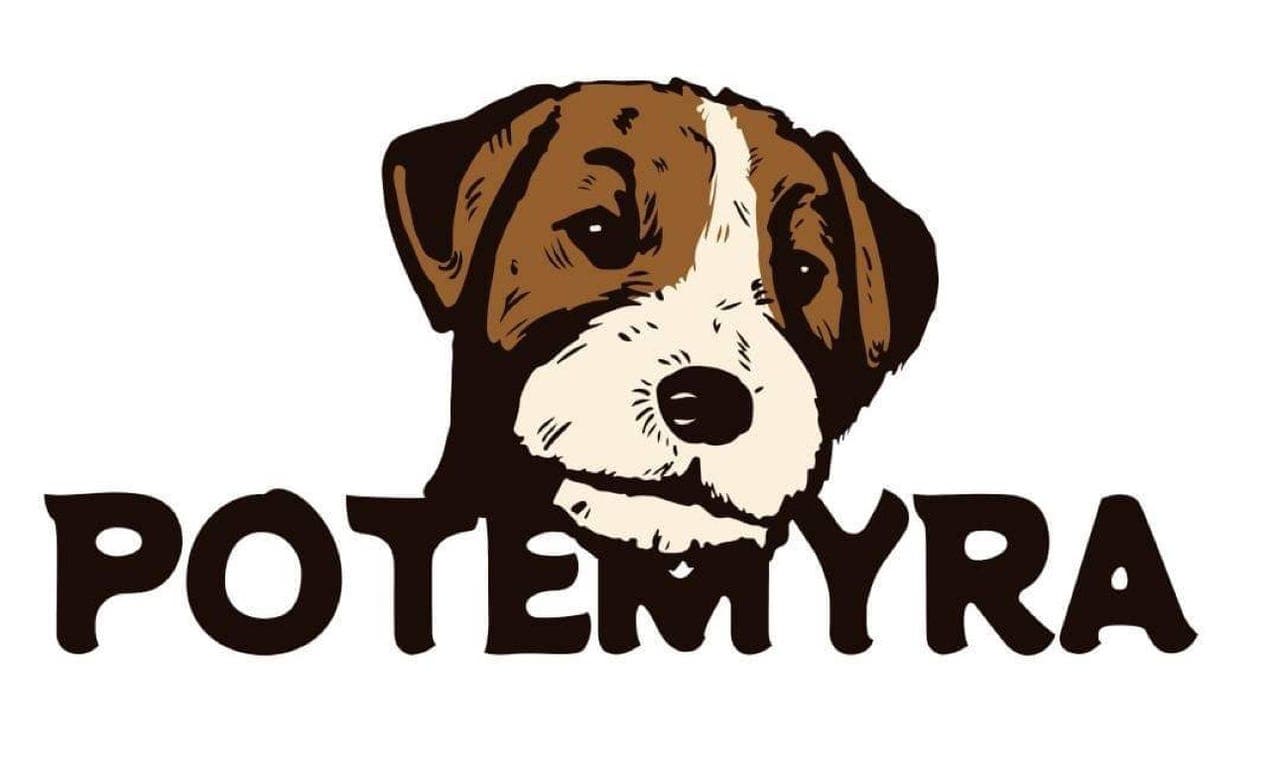 Jack Russell Terriere fra Potemyra Kennel