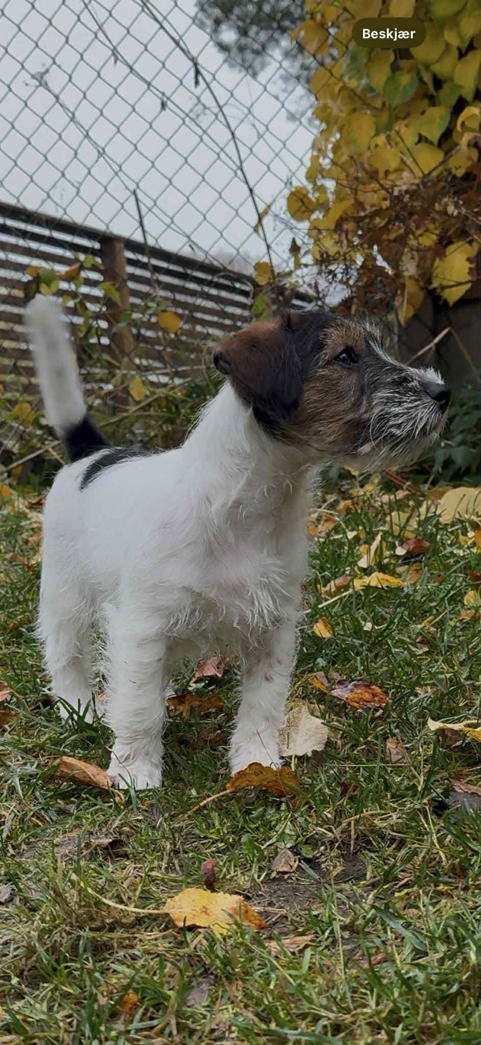 Lillegutt leter etter sitt eget hjem