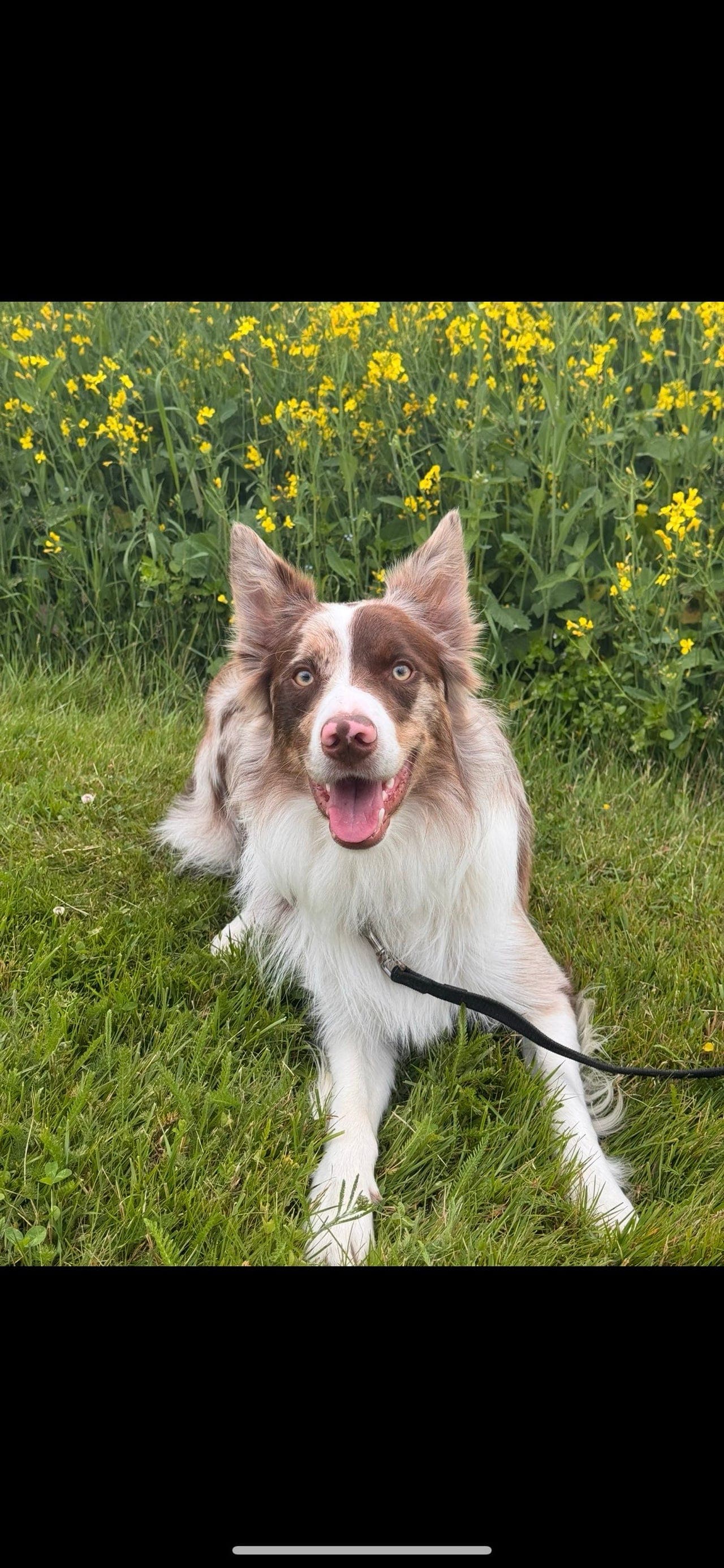 Kan du gi Mikke tryggheten han trenger?