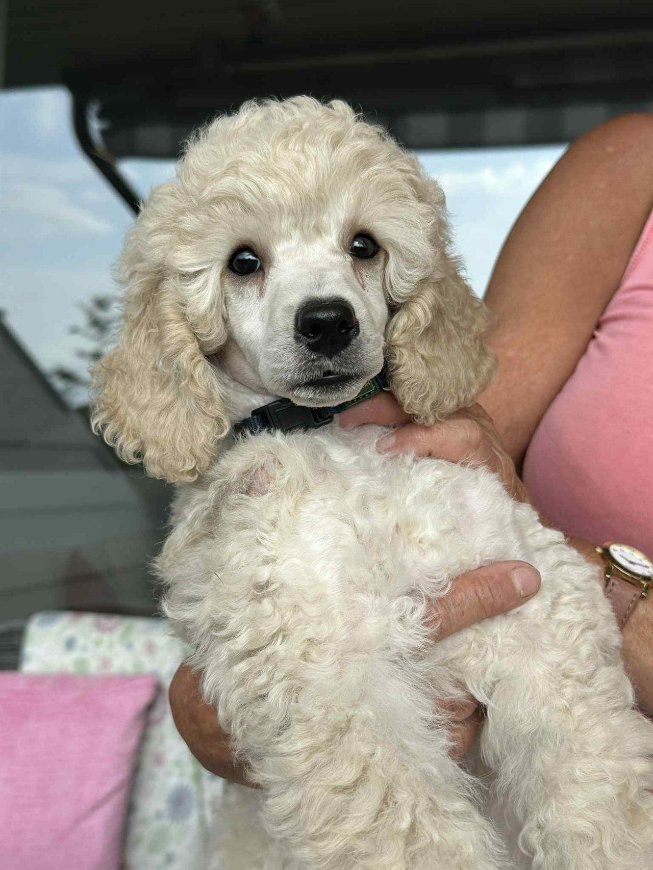 renraset flott mellompuddel