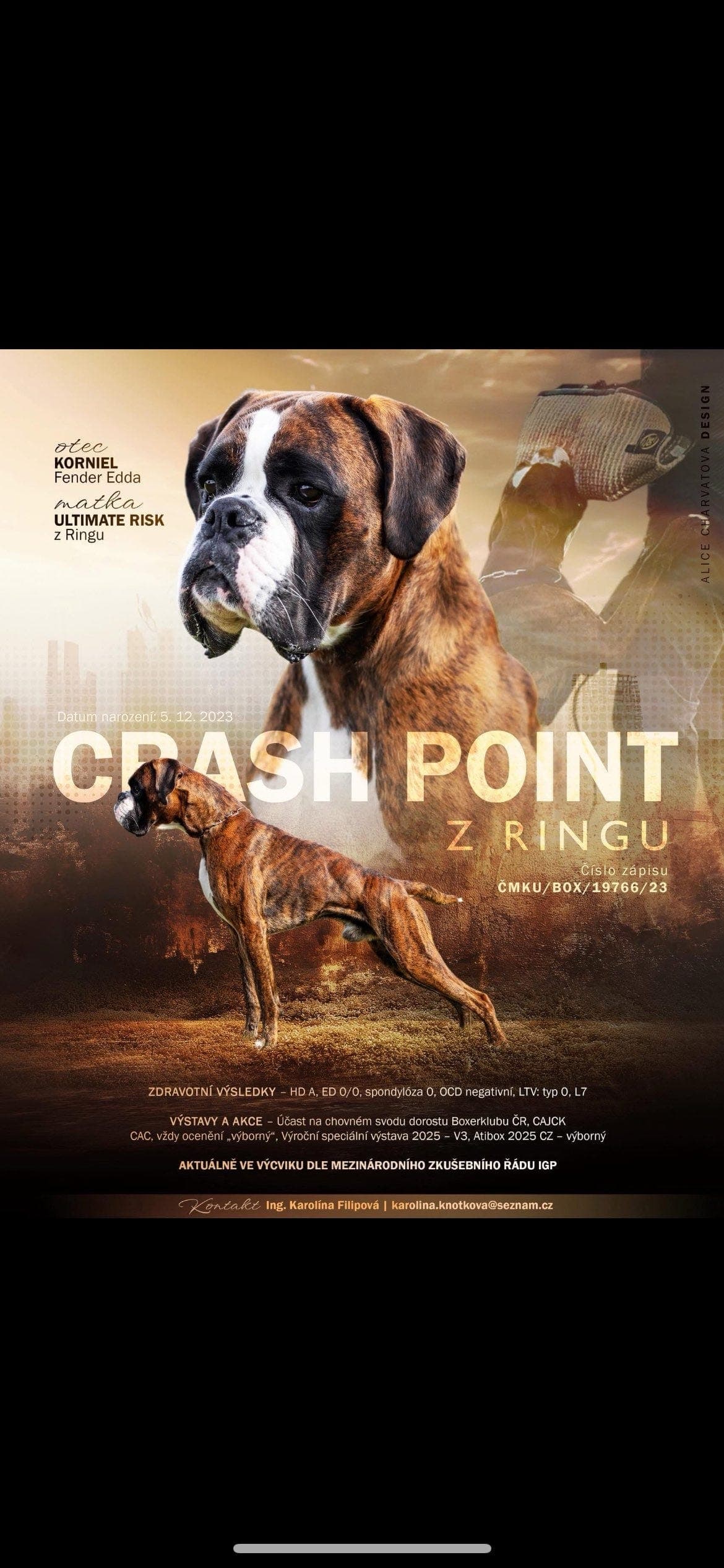 Vi venter spennende boxer kull❤️