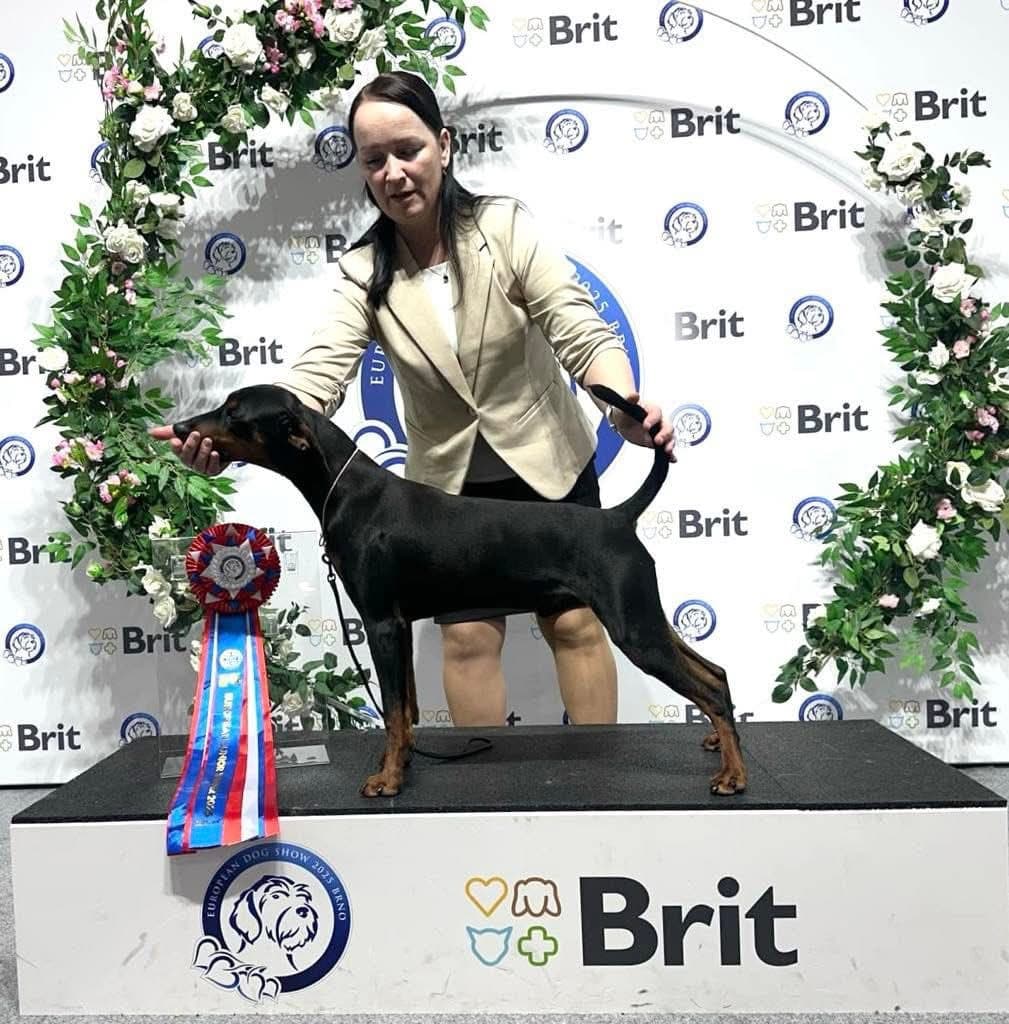 Yukon ønsker seg 5🌟 hjem💙