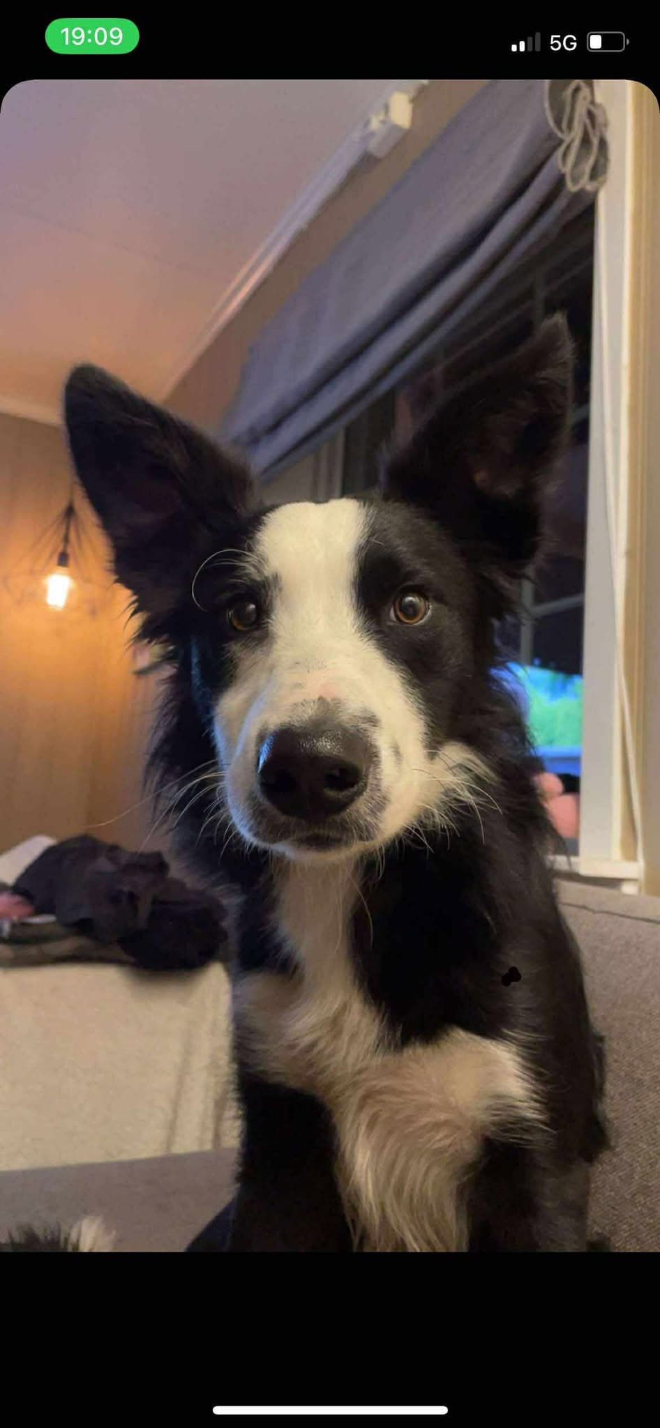 Lad selges til riktig eier..