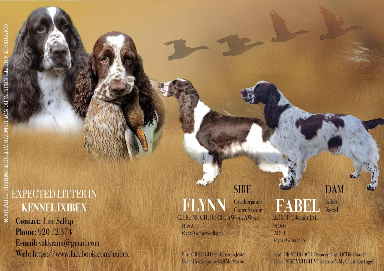 Valper ventes ca 9 januar