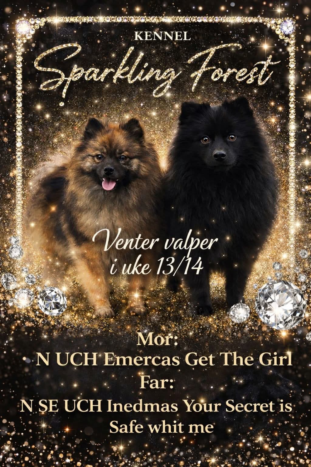 Mittelspitz valper ventes i uke 14