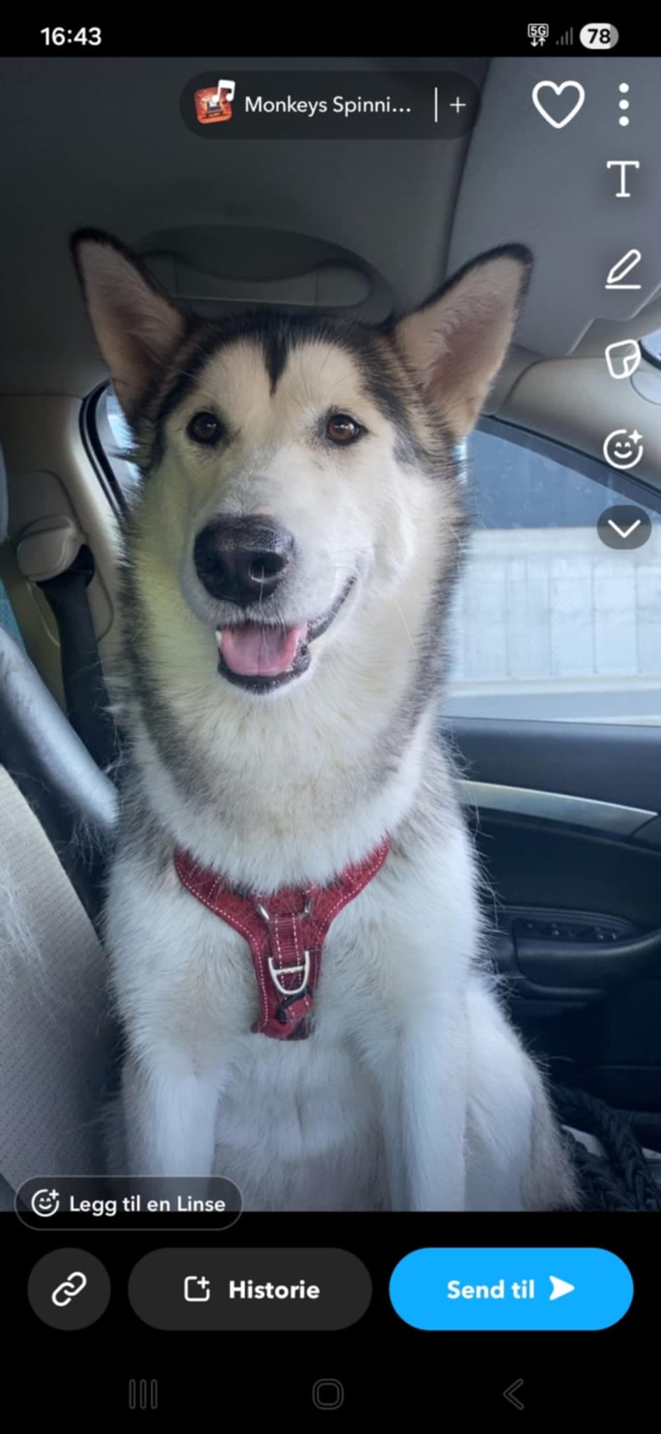 Victoria søker forvert.