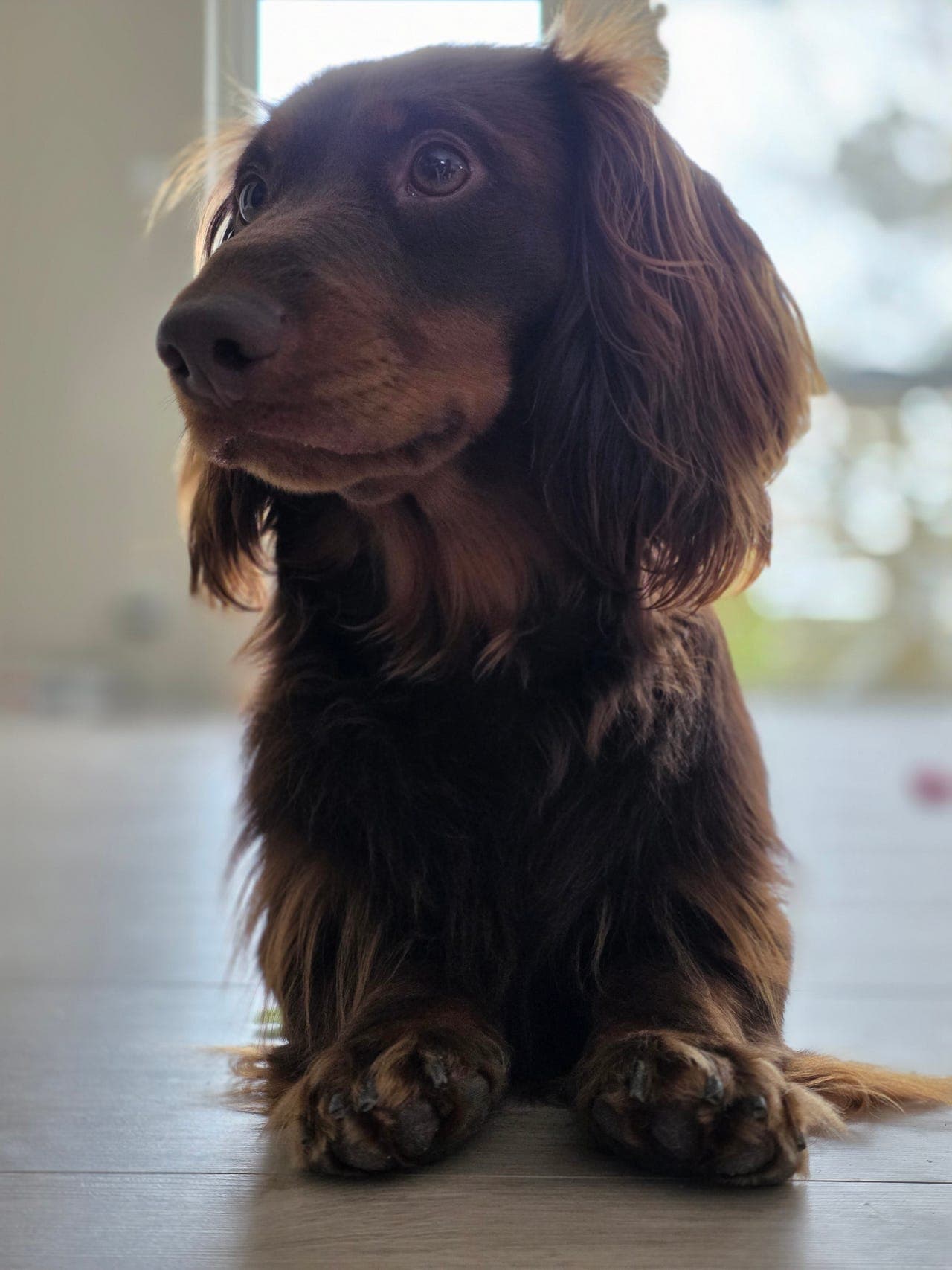 Herman selges med tungt hjerte ❤️