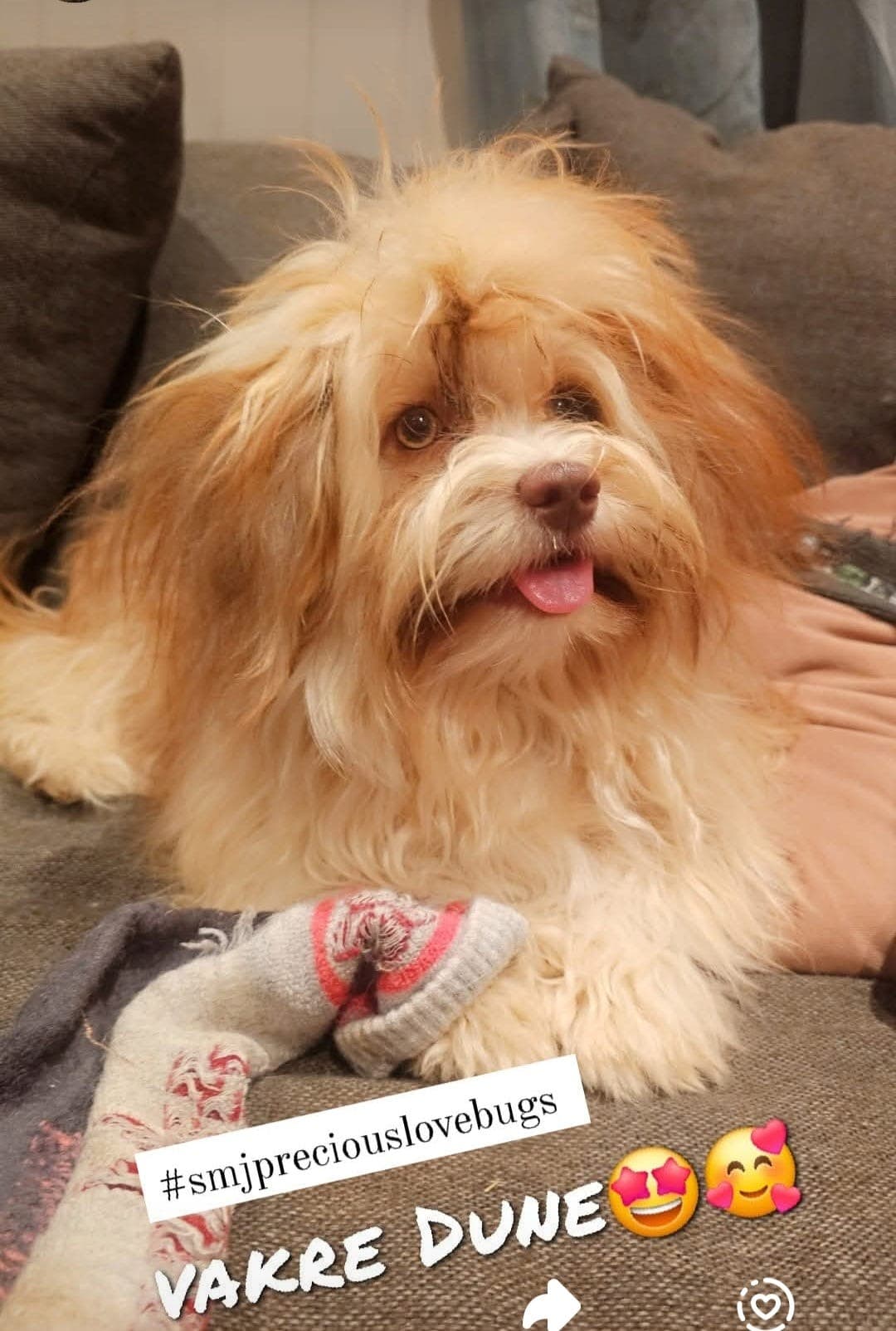 Usedvanlig vakre små