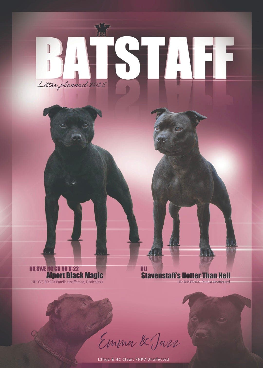 Staffordshire Bull Terrier hannvalper