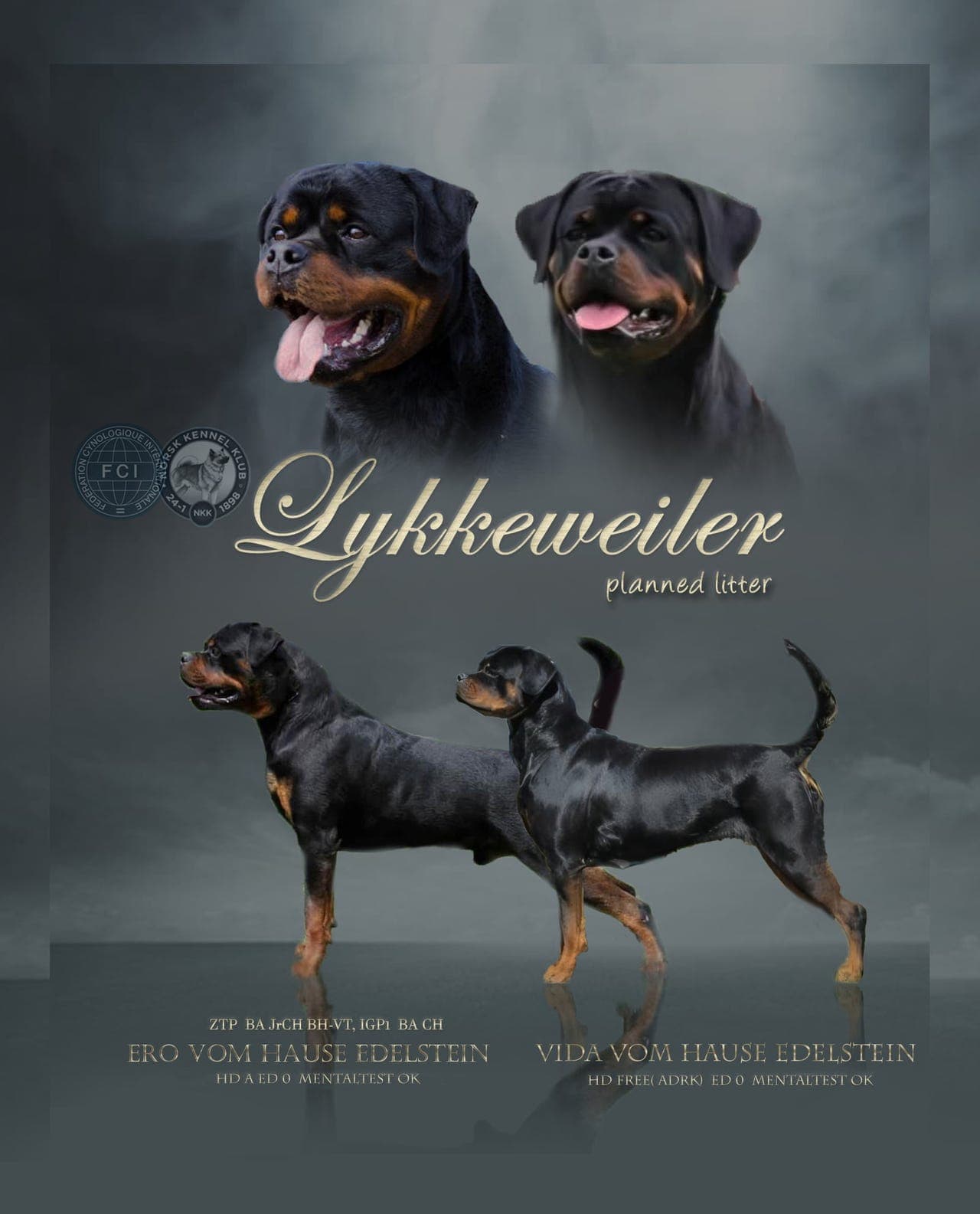 Flotte rottweilervalper ventes!