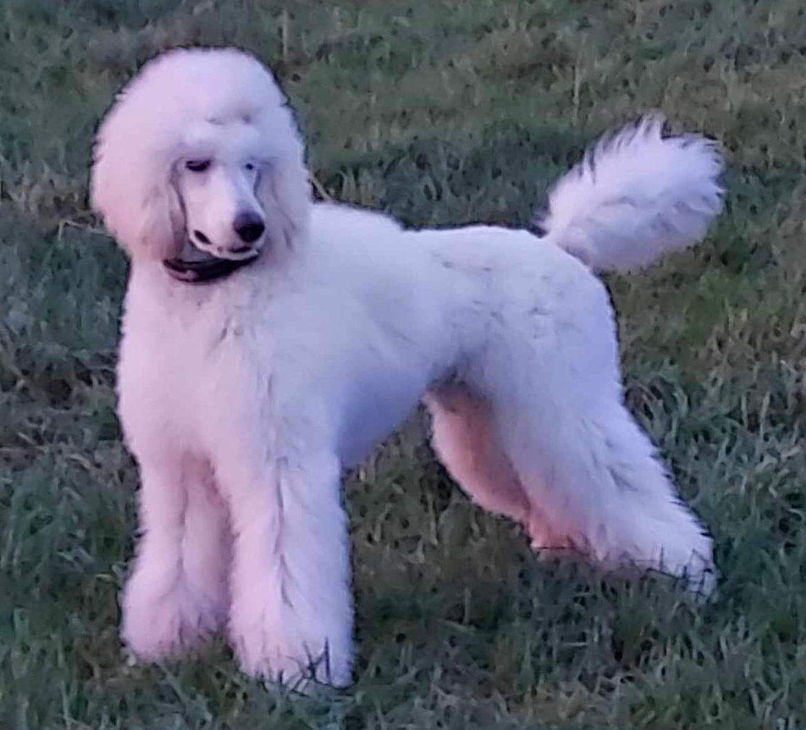 Deltidshjem Sør-Rogaland