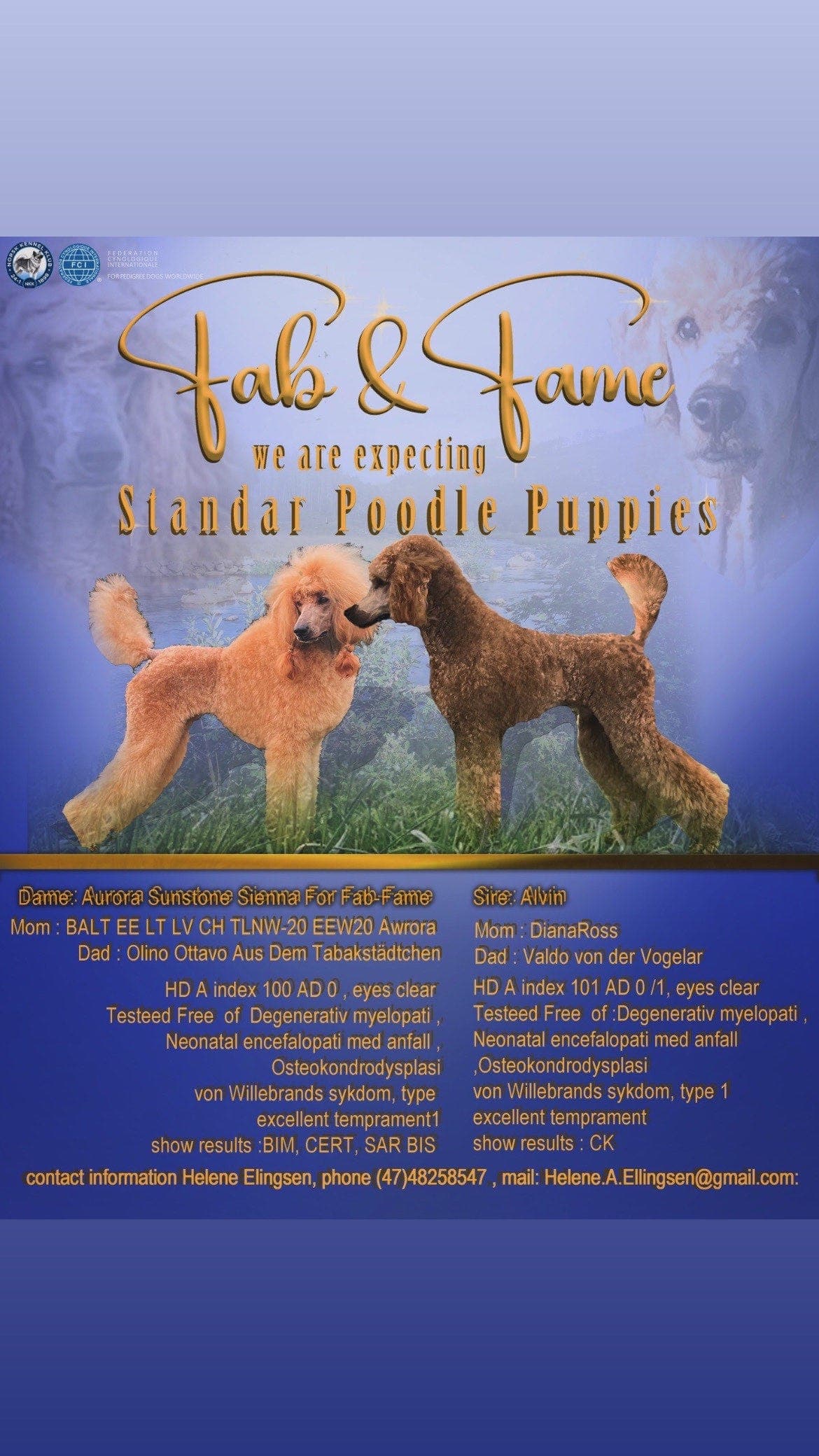 Stor puddel valper fawn