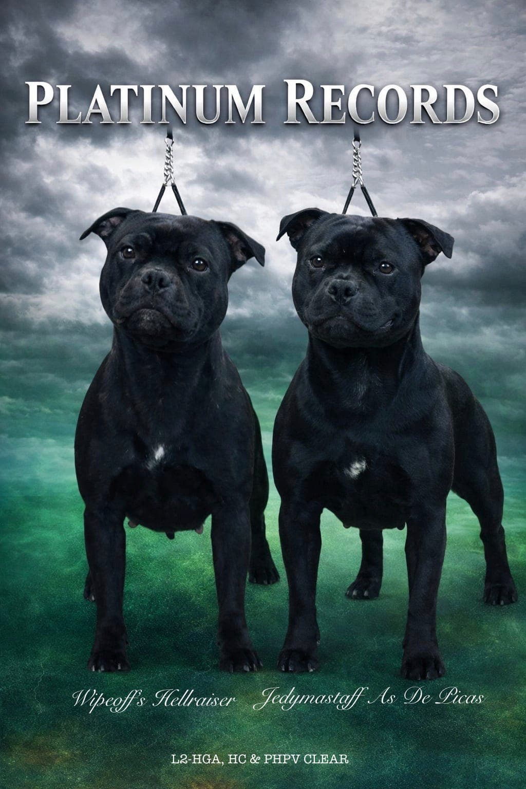 LEVERINGSKLARE Staffordshire Bull Terrier valper