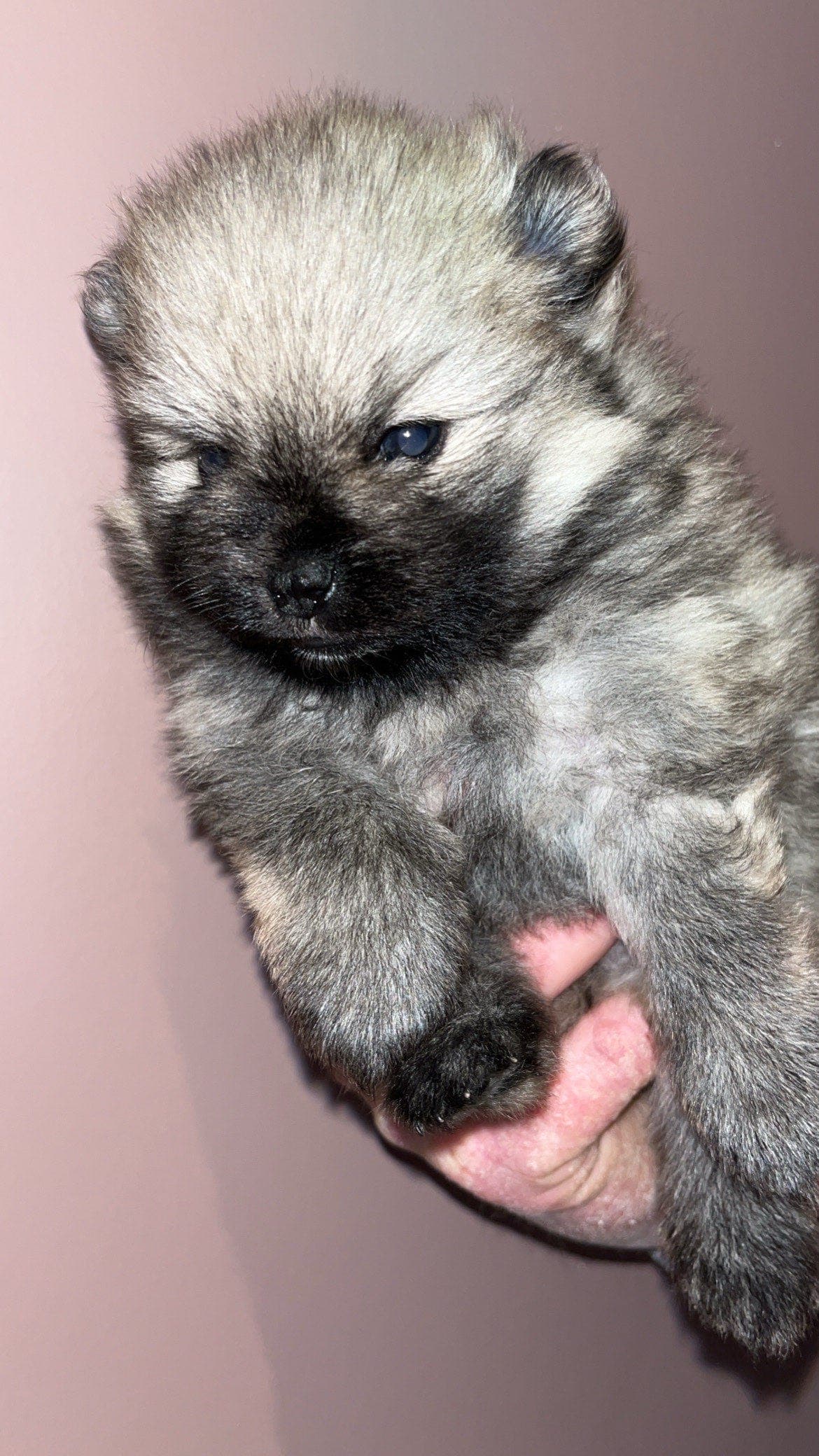 Nydelige skatter🤩