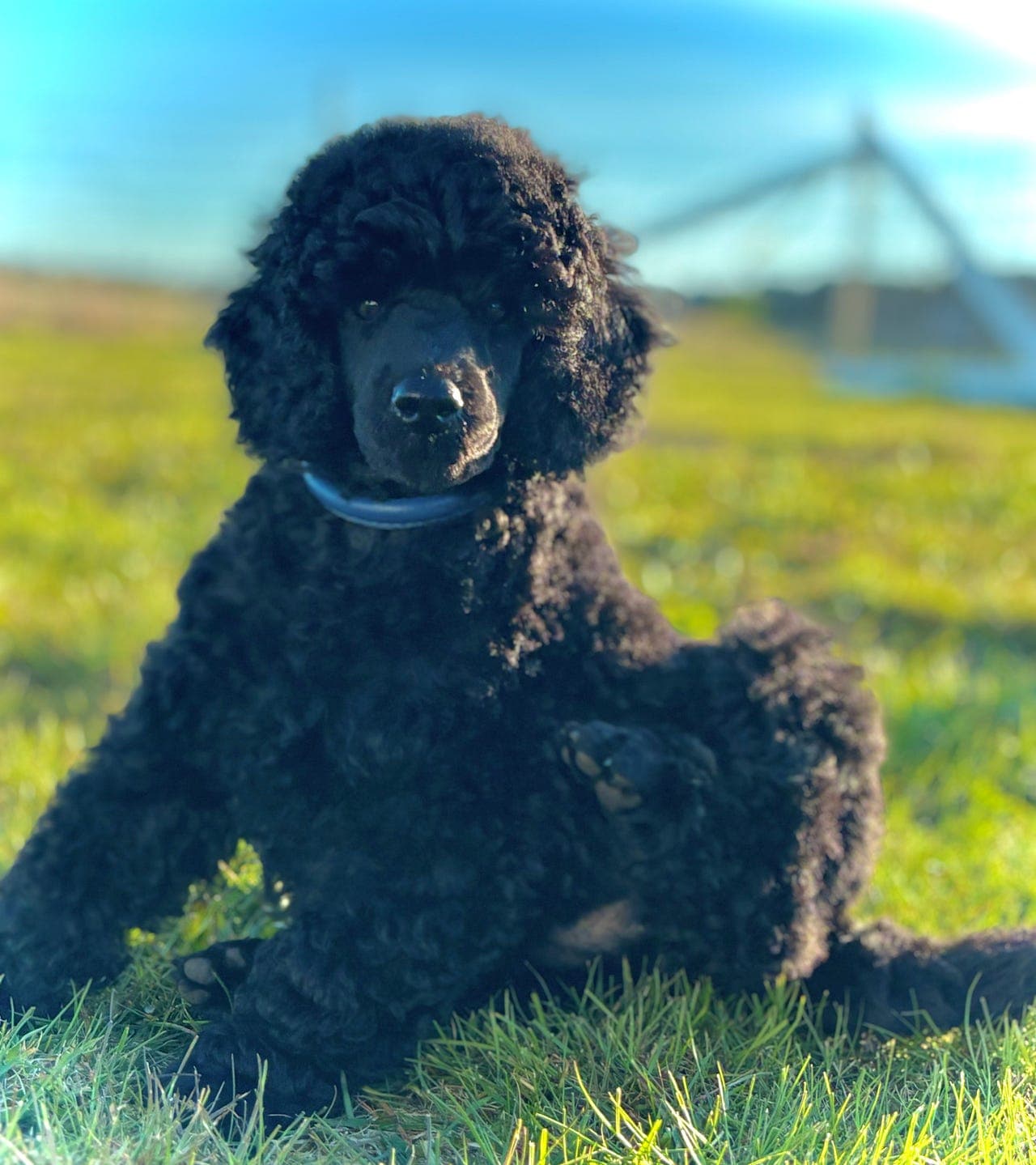 NKK reg. Mellompuddel