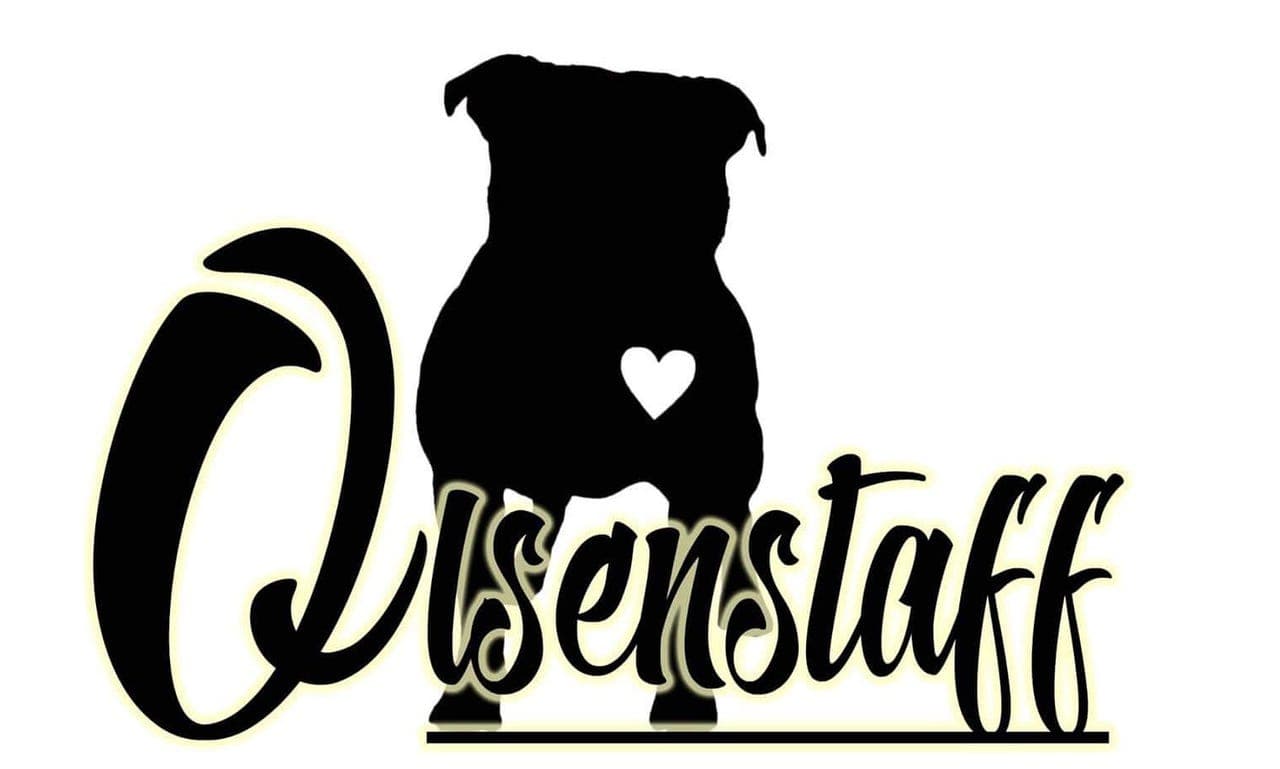 Staffordshire Bull Terrier - Fôrverter -
