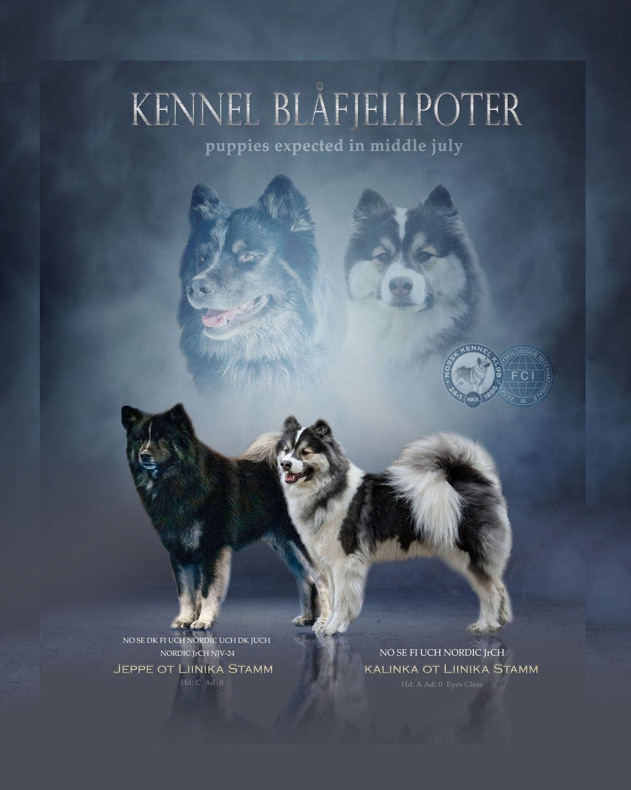Yakutian Laika