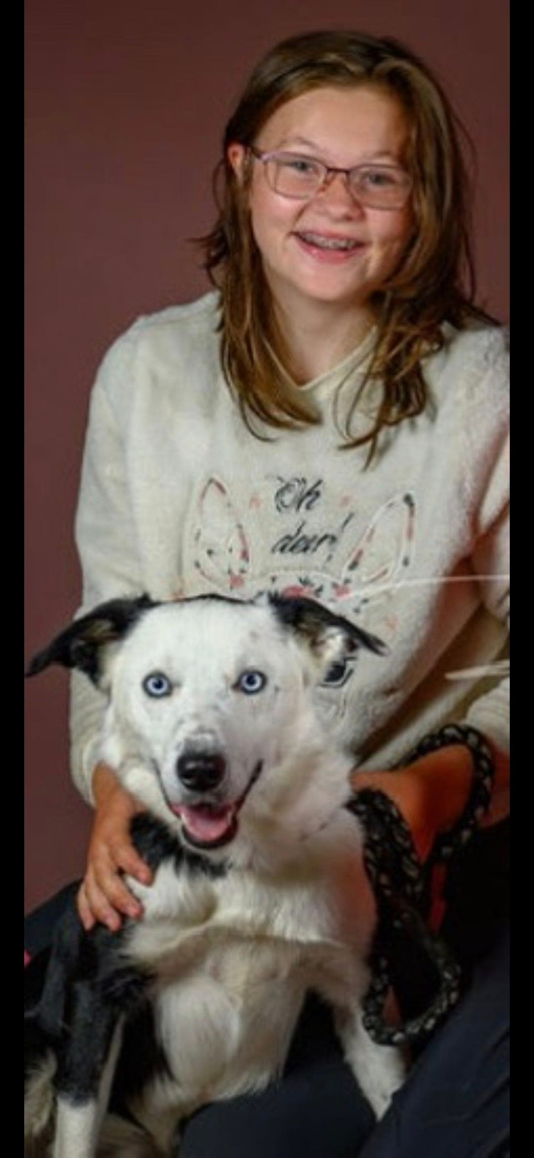 gjeterhund