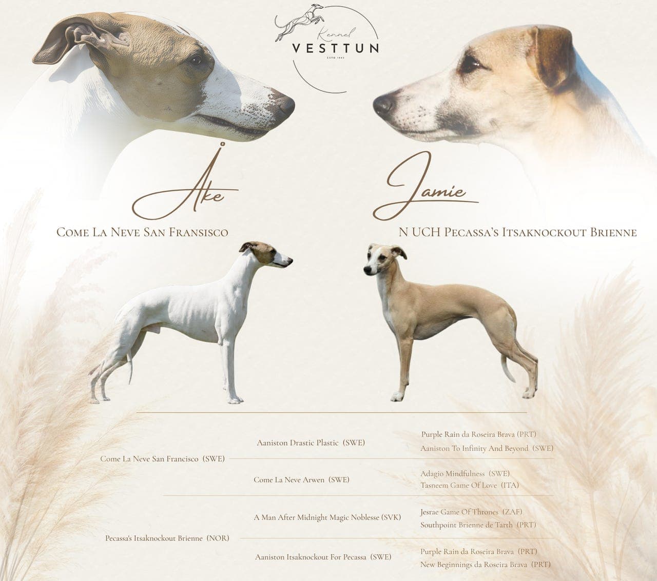 Whippetvalper ventes