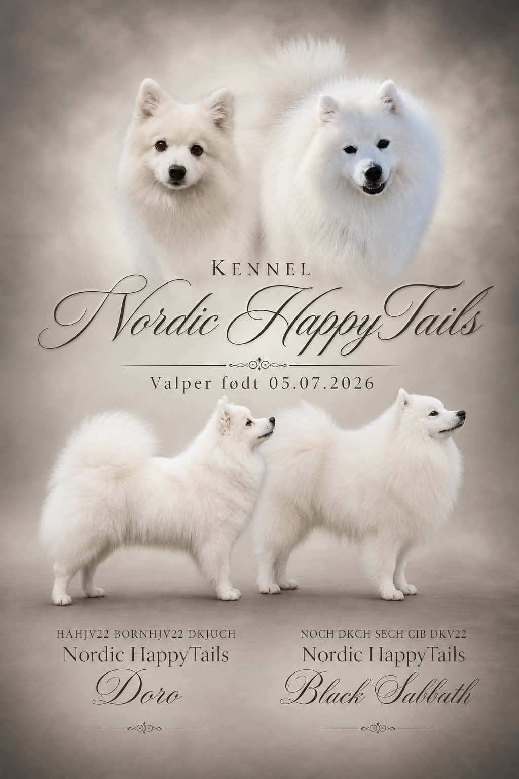 Ledig Japansk Spisshund hannhund valp