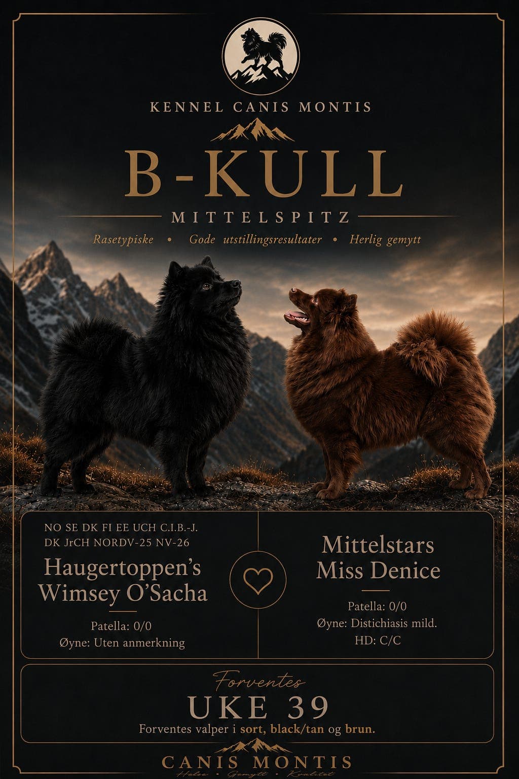 Mittelspitz valper ventes