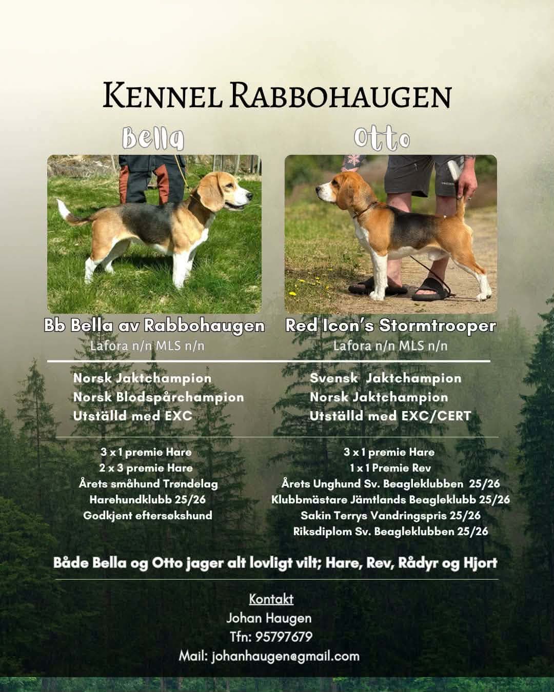 Beagelvalper