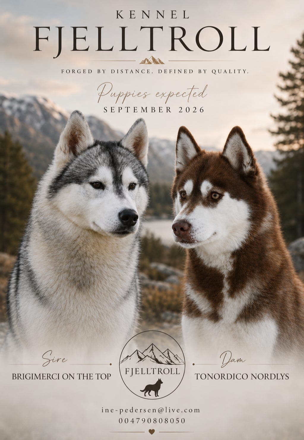 NKK reg Siberian Husky valper