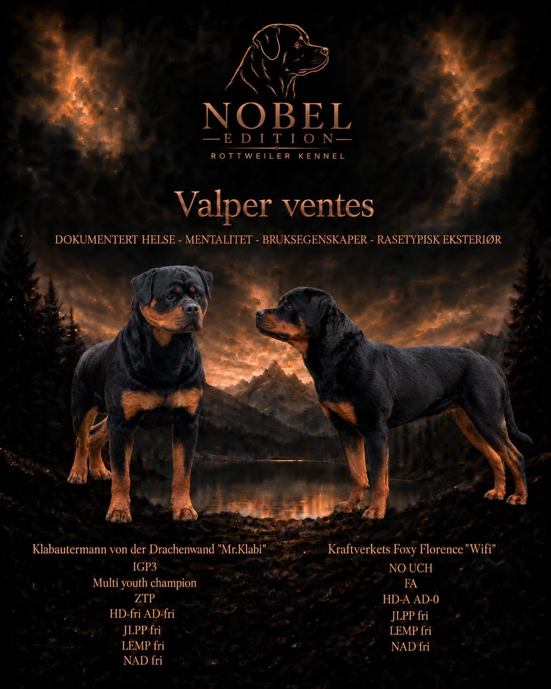 Rottweiler valper