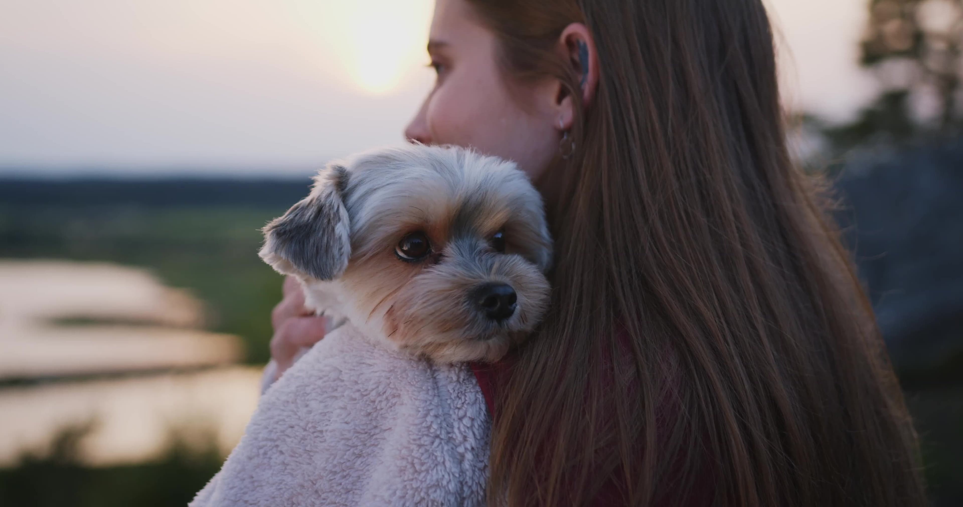 Hvilken hund passer for meg?