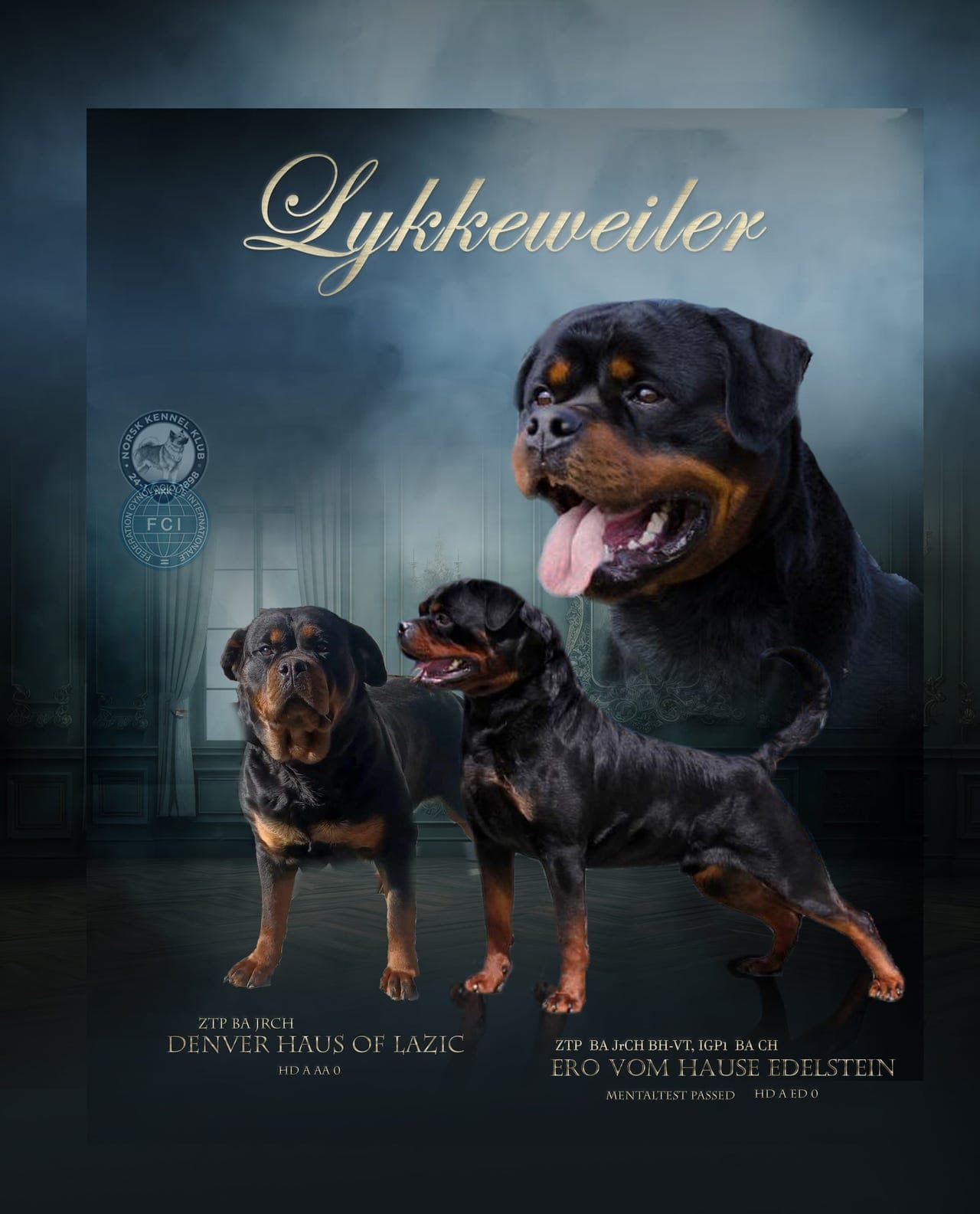 Kraftige rottweilervalper ventes!