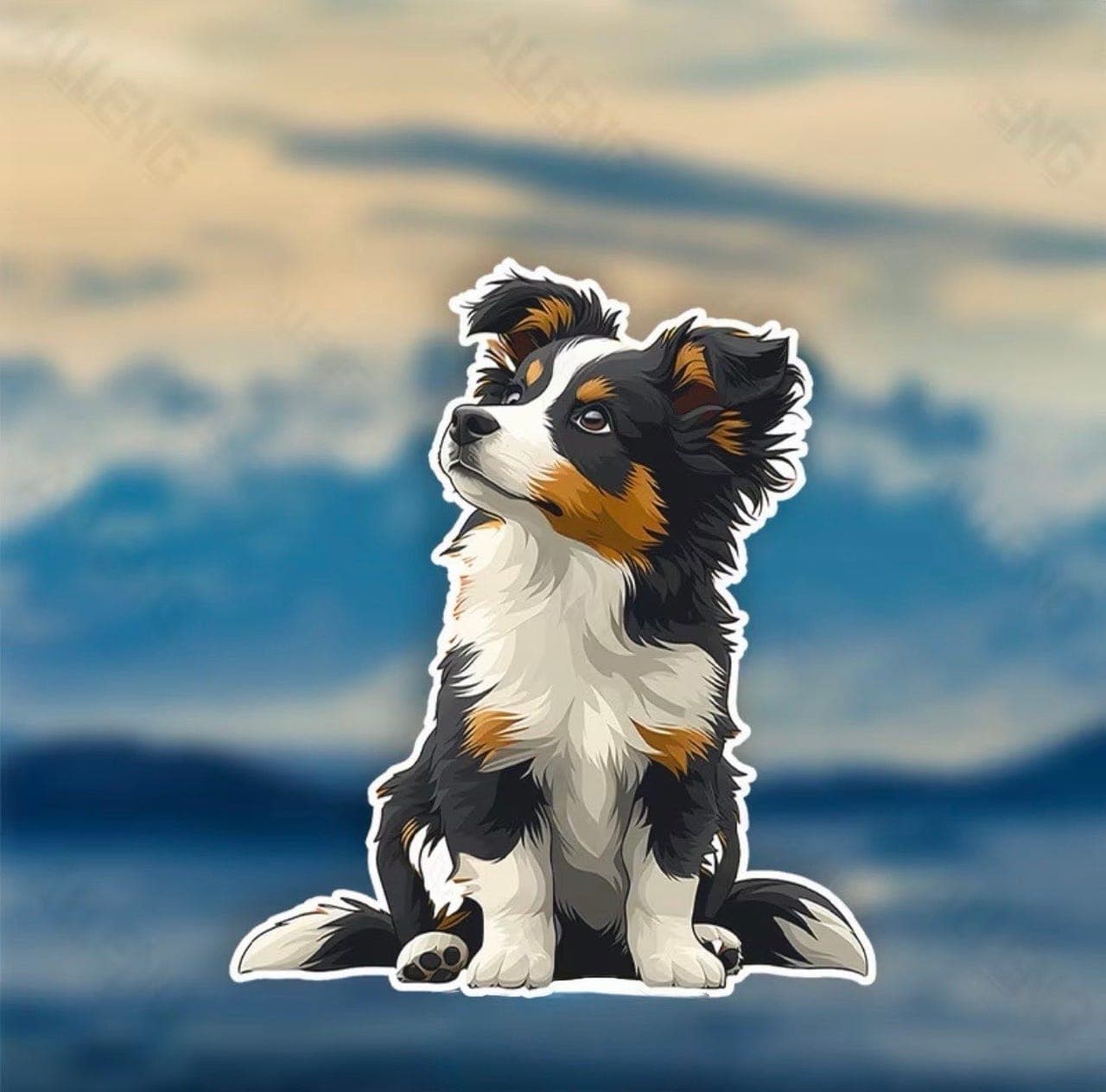 Border collie tispe ser etter en ny flokk!