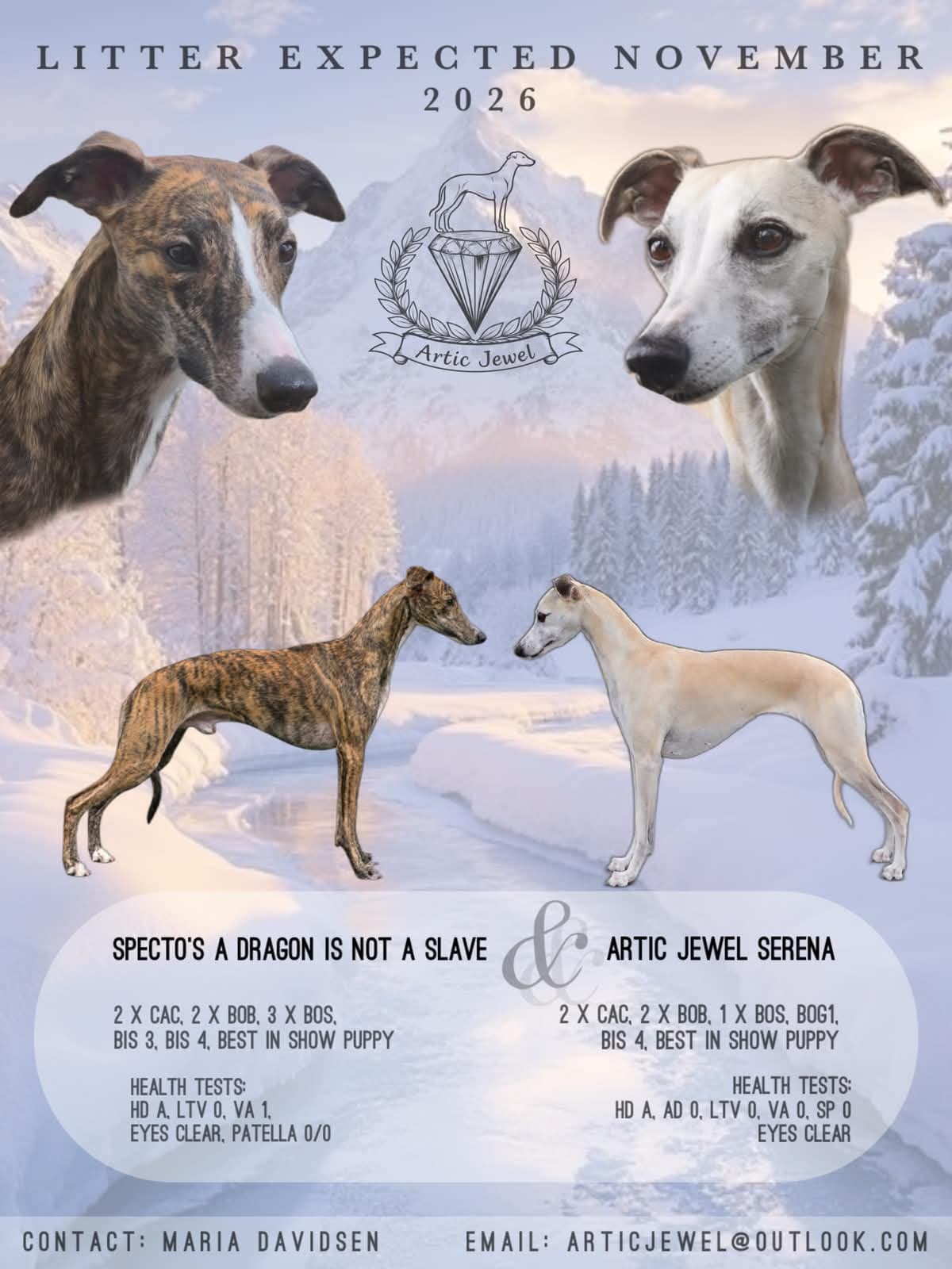 whippet valper ventes