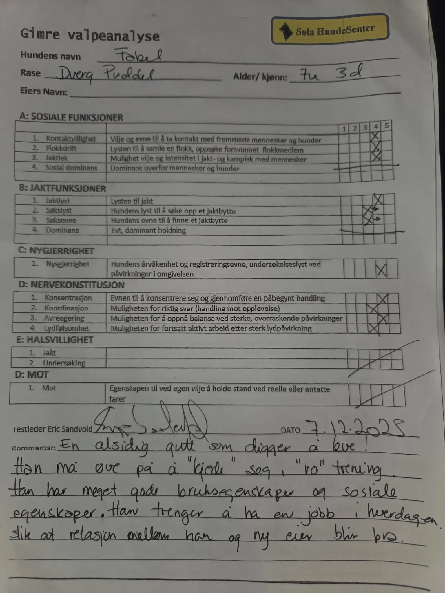 4 Valper - Dvergpuddel