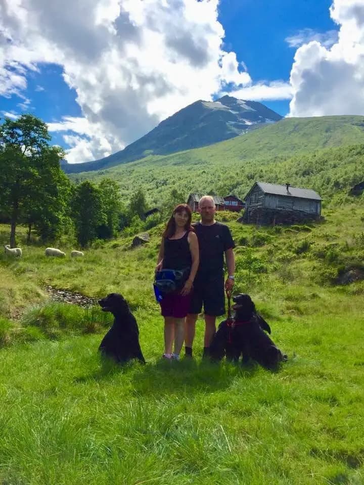10 Valper - Flat Coated Retriever
