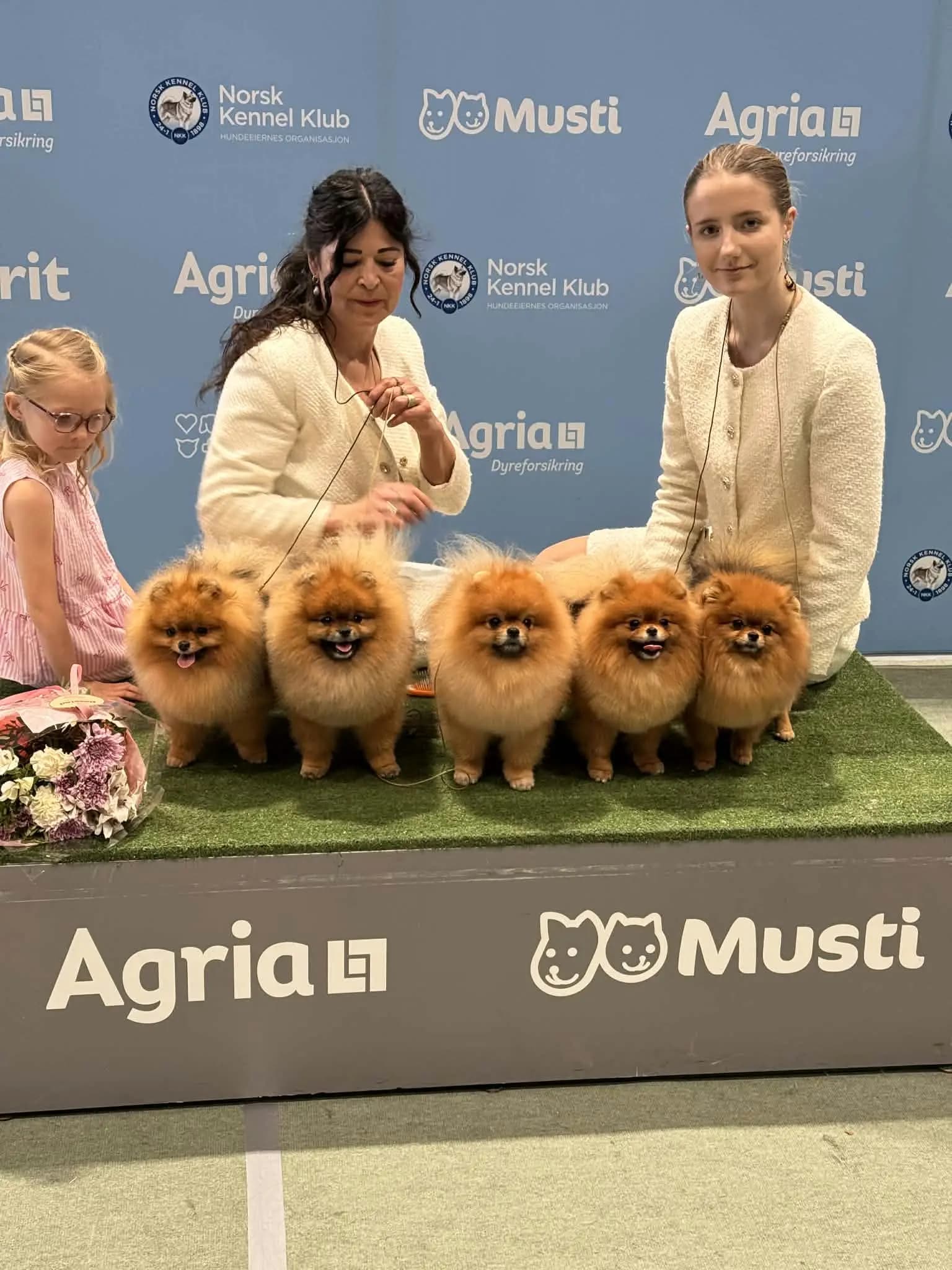 4 Valper - Pomeranian